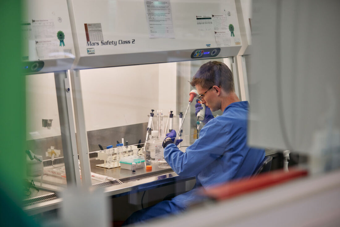 scientist pipettes samples in a tissue culture hood