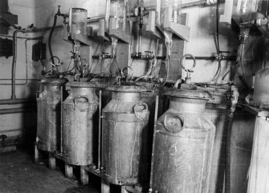 milk churns being used to produce penicillin, connected to a variety of tubes