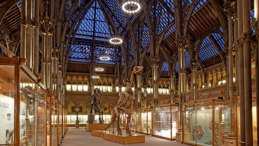 University of Oxford Natural History Museum at night